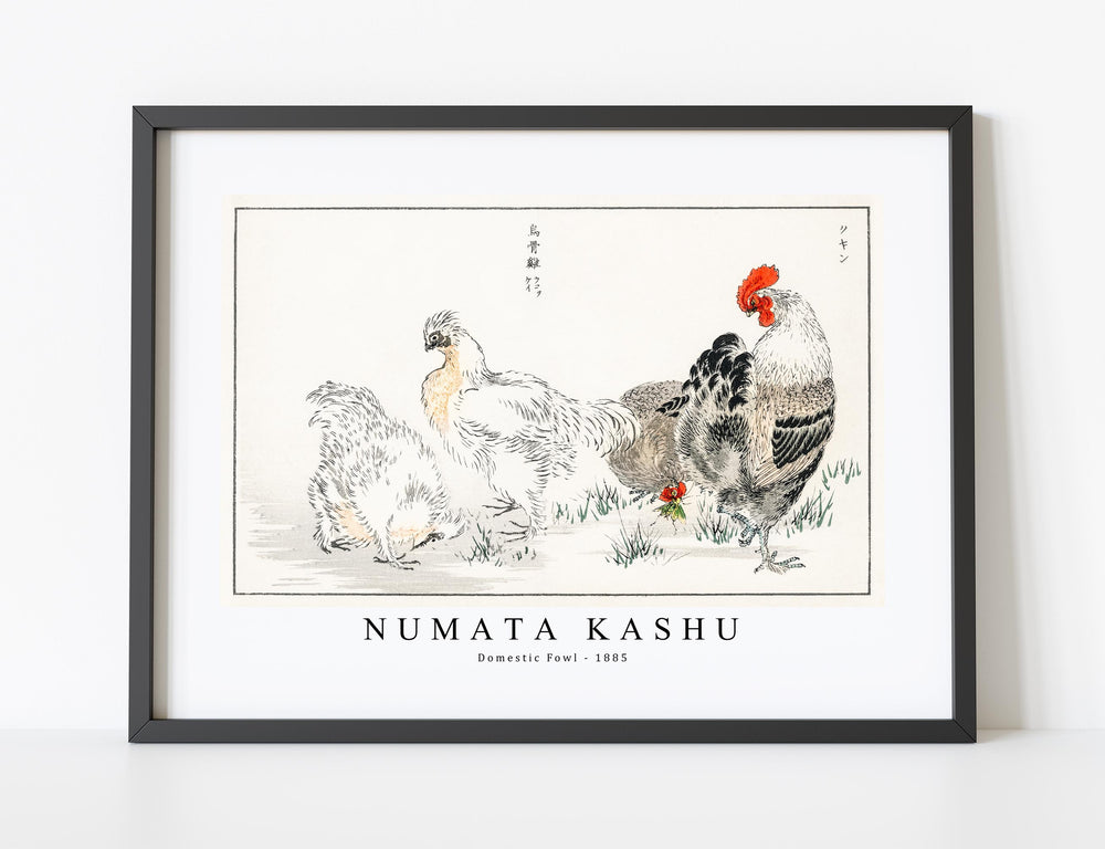 Numata Kashu - Domestic Fowl illustration from Pictorial Monograph of Birds (1885)