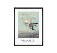 
              Ohara Koson - Great geese in flight (1925 - 1936) by Ohara Koson (1877-1945)
            