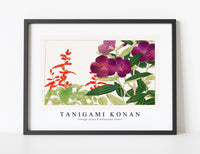 
              Tanigami Konan - Vintage salvia & melastoma flower
            