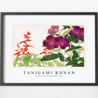 Tanigami Konan - Vintage salvia & melastoma flower