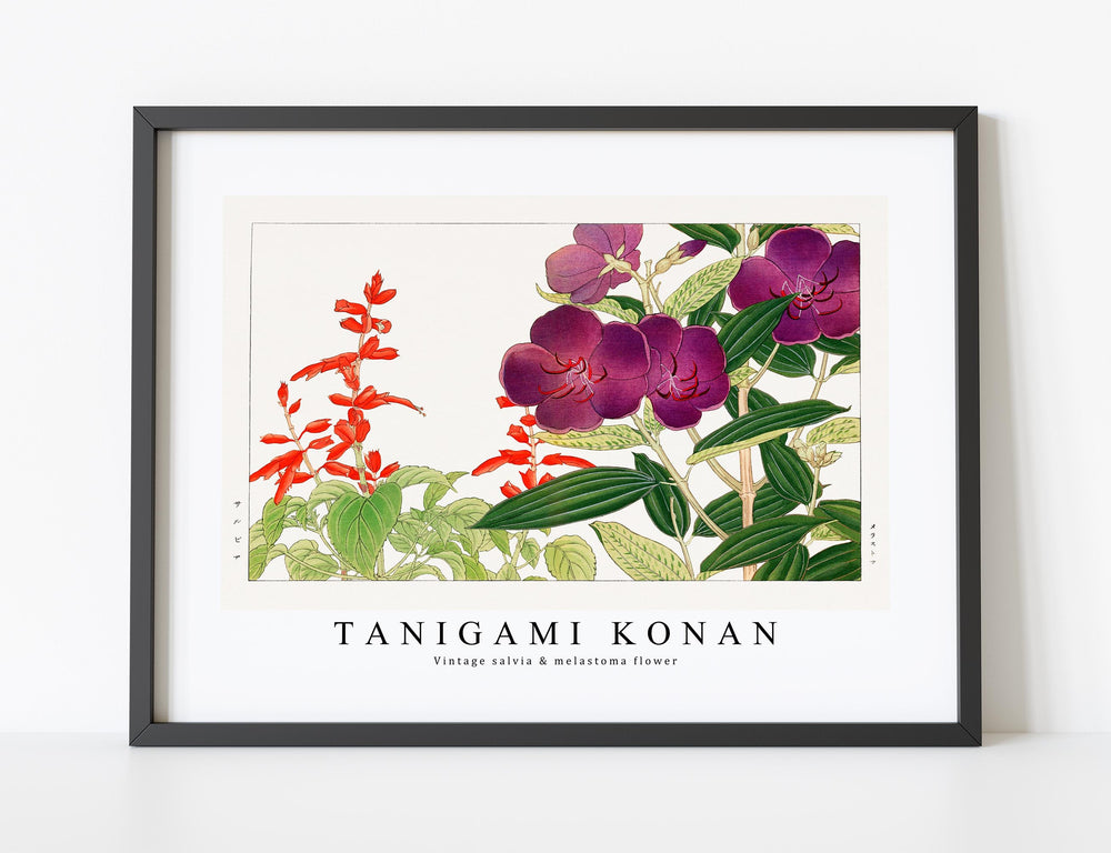 Tanigami Konan - Vintage salvia & melastoma flower