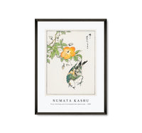 
              Numata Kashu - Grey Starling and Cercidiphyllum Japonicum illustration from Pictorial Monograph of Birds (1885)
            