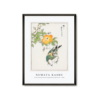 Numata Kashu - Grey Starling and Cercidiphyllum Japonicum illustration from Pictorial Monograph of Birds (1885)