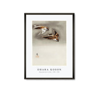 
              Ohara Koson - Ring sparrows in snow (1900 - 1930) by Ohara Koson (1877-1945)
            