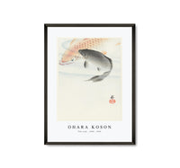 
              Ohara Koson - Two carp (1900 - 1930) by Ohara Koson (1877-1945) (2)
            