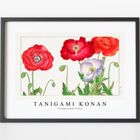Tanigami Konan - Vintage poppy flower