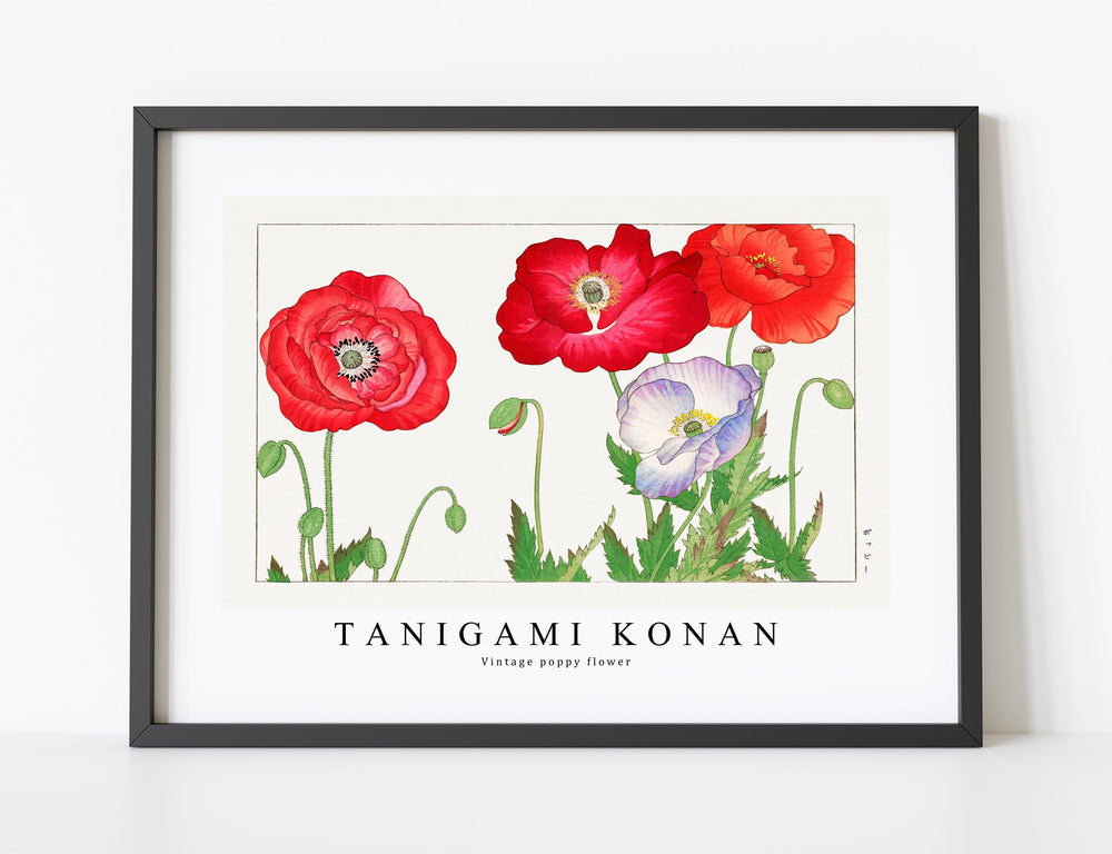 Tanigami Konan - Vintage poppy flower