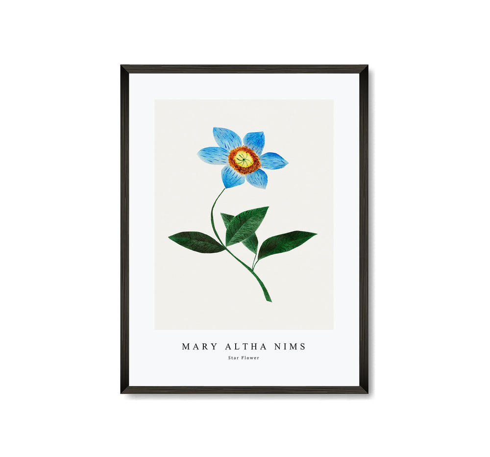 Mary Altha Nims - Star Flower