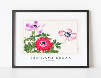 
              Tanigami Konan - Poppy flower
            