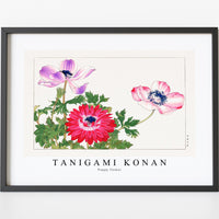 Tanigami Konan - Poppy flower