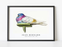 
              Jean Bernard - Pigeon sitting on a shelf (1802)
            