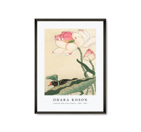 
              Ohara Koson - Gallinule with Lotus Flowers (1900 - 1930) by Ohara Koson (1877-1945)
            