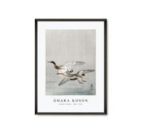 
              Ohara Koson - Couple of ducks (1900 - 1936) by Ohara Koson (1877-1945)
            