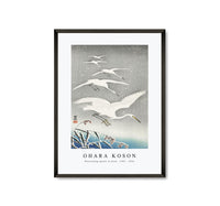 
              Ohara Koson - Descending egrets in snow (1925 - 1936)
            