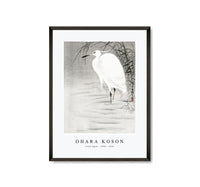 
              Ohara Koson - Little Egret (1900 - 1930) by Ohara Koson (1877-1945)
            