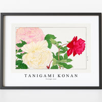 Tanigami Konan - Vintage rose