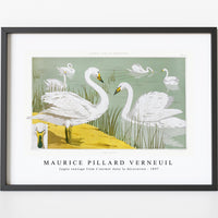 Maurice Pillard Verneuil - Cygne sauvage from L'animal dans la décoration (1897) illustrated
