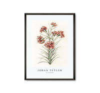 
              Johan Teyler - Six carnations
            