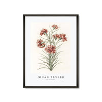 Johan Teyler - Six carnations
