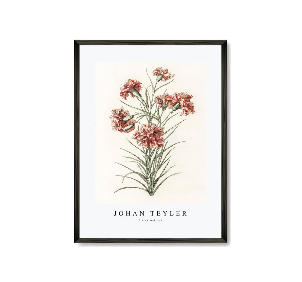 Johan Teyler - Six carnations