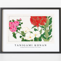 Tanigami Konan - Vintage mallow & jerusalem cross flower