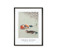 
              Ohara Koson - Mandarin ducks (1925 - 1936) by Ohara Koson (1877-1945)
            