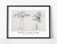 
              Mary Altha Nims - Studies of Upas and Maple Trees
            