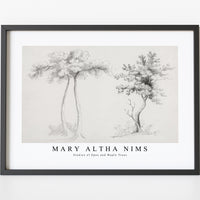 Mary Altha Nims - Studies of Upas and Maple Trees