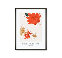 
              Shibata Zeshin - Maple Leaves
            