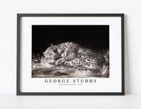 
              George Stubbs - A Sleeping Cheetah 1788
            