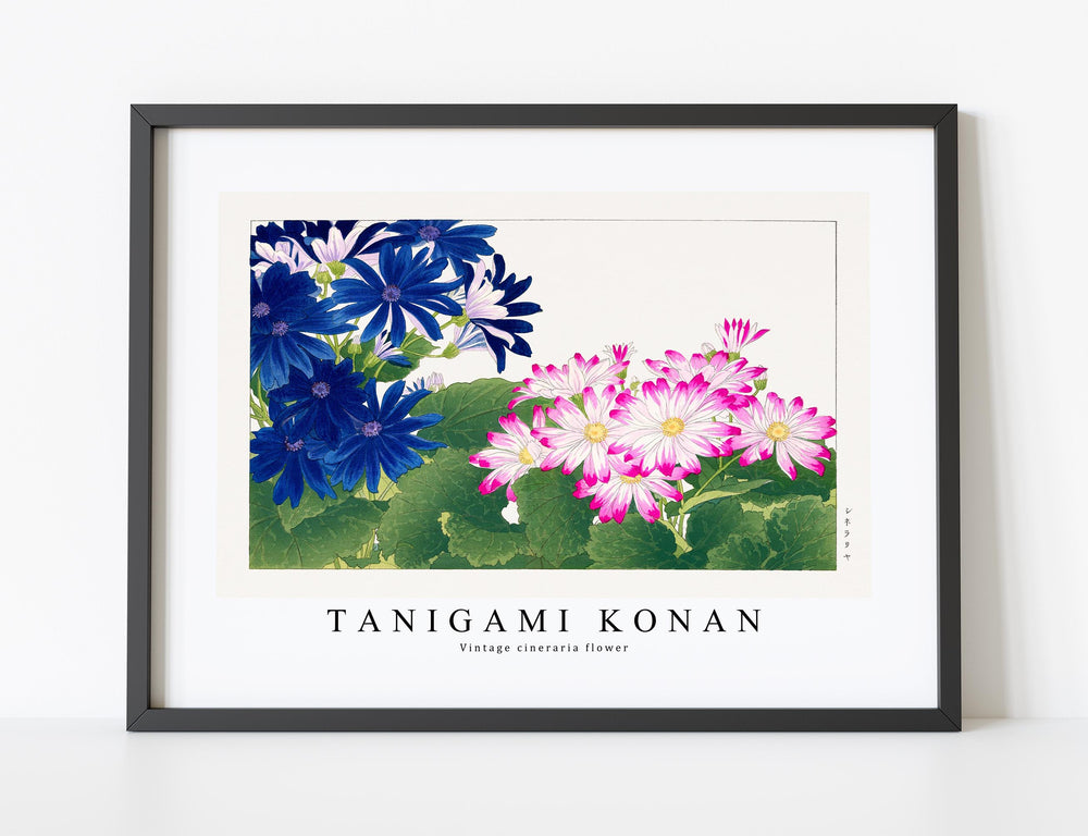 Tanigami Konan - Vintage cineraria flower