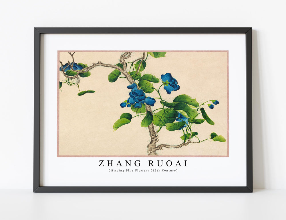 Zhang Ruoai - Climbing Blue Flowers (18th Century)