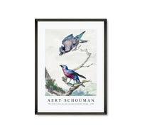 
              Aert schouman - Two birds a blue jay and a purple-breasted cotinga-1760
            
