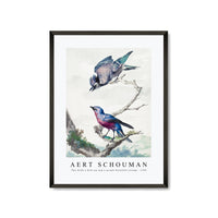 Aert schouman - Two birds a blue jay and a purple-breasted cotinga-1760