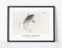 
              Ohara Koson - Carp and fly (1900 - 1930) by Ohara Koson (1877-1945)
            