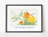 
              Tanigami Konan - Wall flower
            