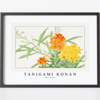 Tanigami Konan - Wall flower