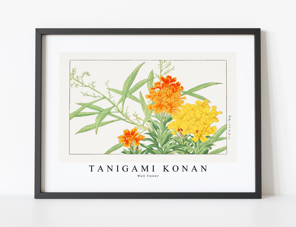 Tanigami Konan - Wall flower