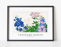 
              Tanigami Konan-Delphinium flower
            