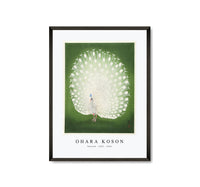 
              Ohara Koson - Peacock (1925 - 1936)
            