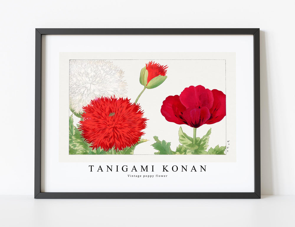 Tanigami Konan - Vintage poppy flower