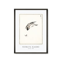 Numata Kashu - Sparrow illustration from Pictorial Monograph of Birds (1885)