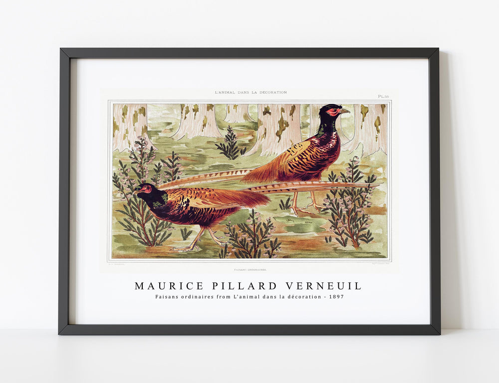 Maurice Pillard Verneuil - Faisans ordinaires from L'animal dans la décoration (1897)