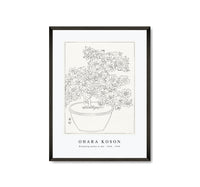 
              Ohara Koson - Blooming azalea in pot (1920 - 1930) by Ohara Koson (1877-1945)
            