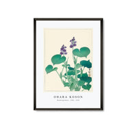 
              Ohara Koson - Blooming hosta (1920 - 1930) by Ohara Koson (1877-1945)
            