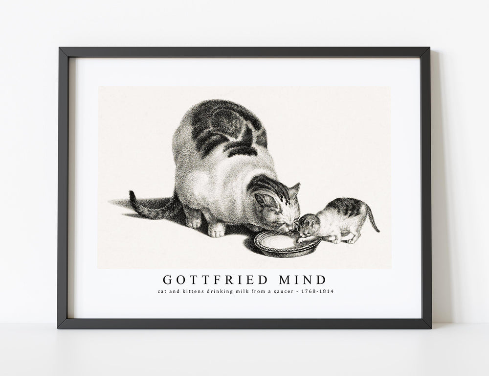 Gottfried Mind - Illustration of domestic cat and kittens drinking milk from a saucer by Gottfried Mind (1768-1814)