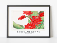 
              Tanigami Konan - Phyiiocactus flower
            