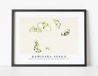 
              Kamisaka Sekka - Japanese woodblock butterfly (One Thousand Butterflies) - 1904
            