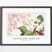 Tanigami Konan - Vintage orchid flower
