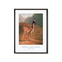 Jacques Laurent Agasse - Guanaco (ca. 1848)